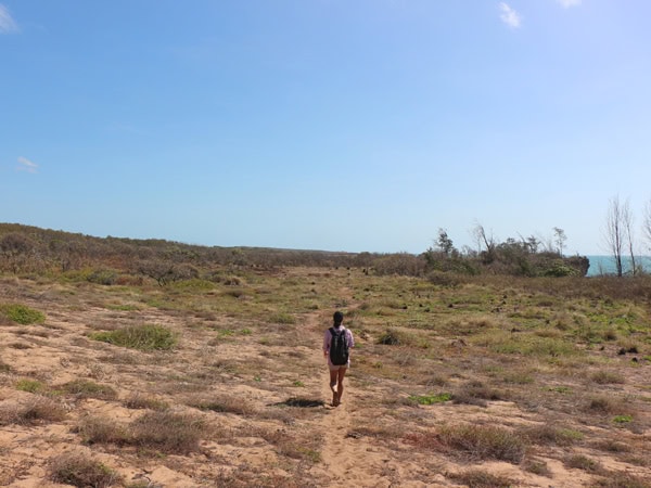 hiking through the Dhimurru Coastal Walking Trail