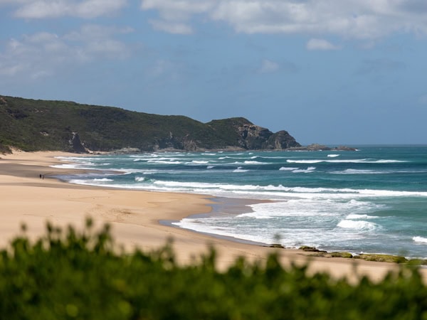 scenic coastal views from the Great Ocean Walk