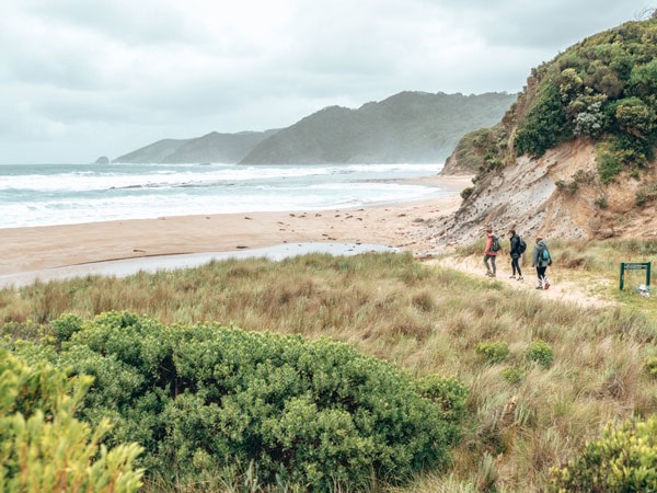 hikers walking through a forested area at Great Ocean Walk, Victoria