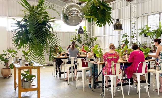 making terrariums at The Soul Pantry