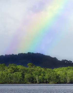 How to visit Palm Cove during the wet season