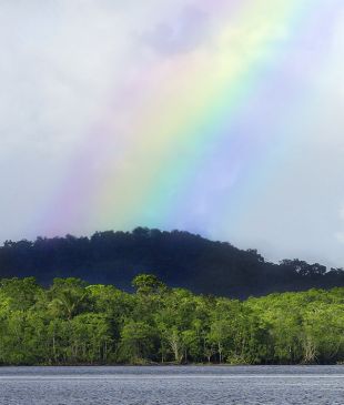 <p><i>How to visit</i> <strong>Palm Cove</strong> during the wet season</p>
