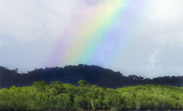 How to visit Palm Cove during the wet season