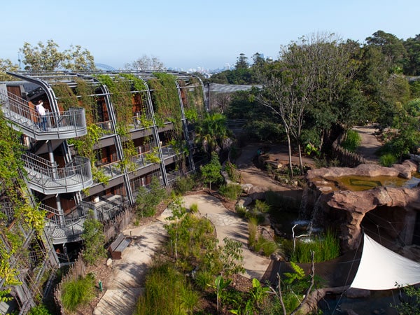 The Wildlife Retreat accommodation at Taronga Zoo Sydney, Mosman. (Image: Destination NSW)