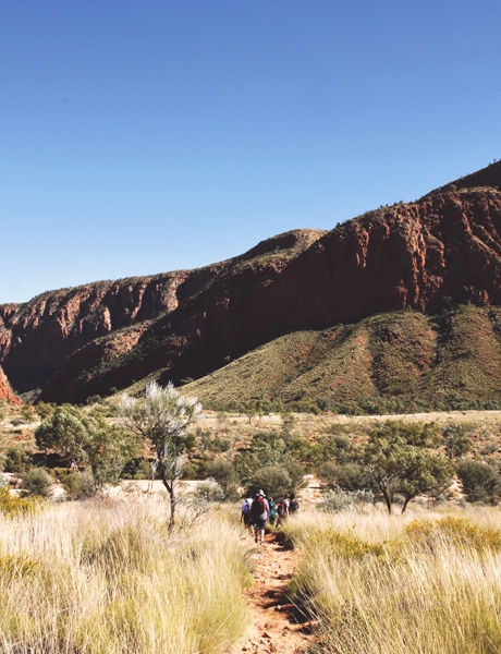 Larapinta Trail, Northern Territory