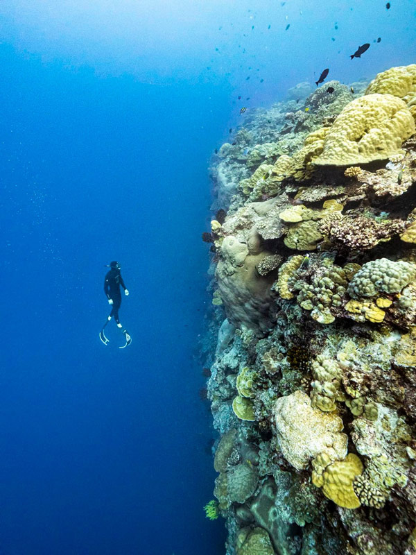 Freediving with Dave Mulheron on Christmas Island