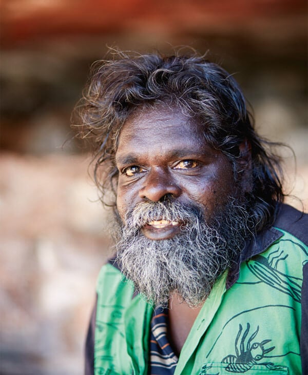 Indigenous Artist Kakadu