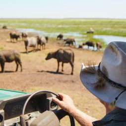 Kakadu Wilderness Safari