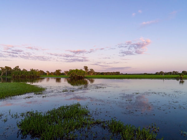 the wetlands of Kakadu, Yellow Water Cruises