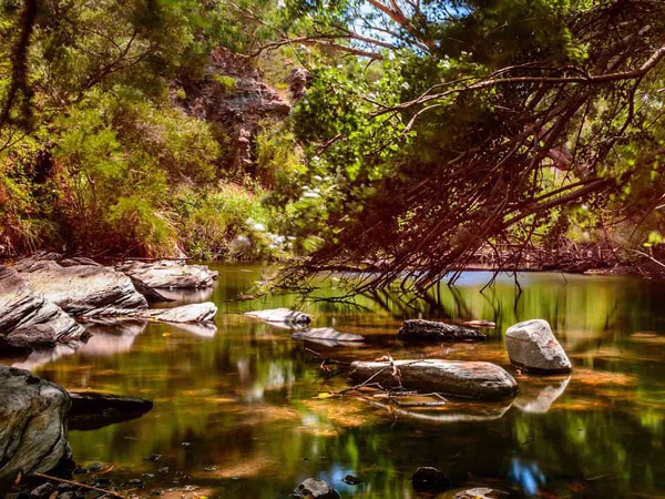 The Onkaparinga River Hike