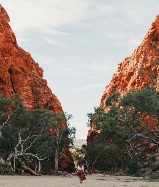<p><i>10 amazing places</i> to reconnect with nature in the <strong>NT</strong></p>
