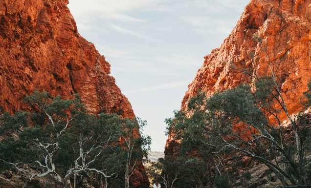Simpsons Gap is located 18 kilometres west from Alice Springs, on the Larapinta Trail. (Image: Tourism NT and Jarrad Seng)