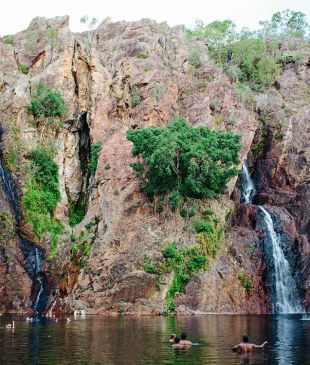 <p><i>The Litchfield National Park guide</i> you need to read</p>
