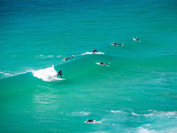 Surfers in the ocean.