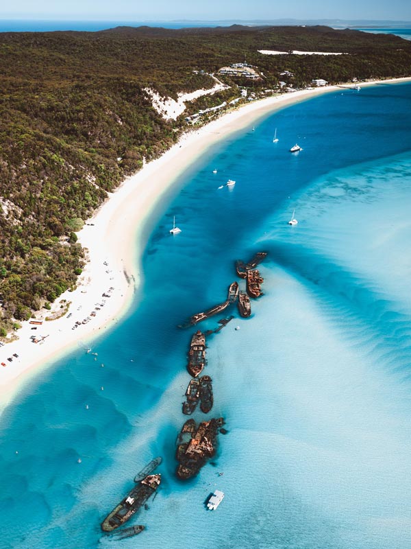 A beach and the ocean with shipwrecks.