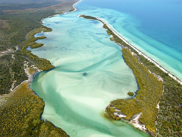Discover Fraser Island's many surprises