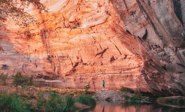 Discover Carnarvon Gorge