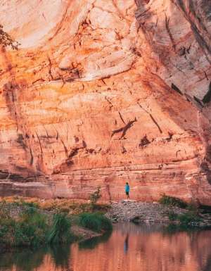 Discover Carnarvon Gorge