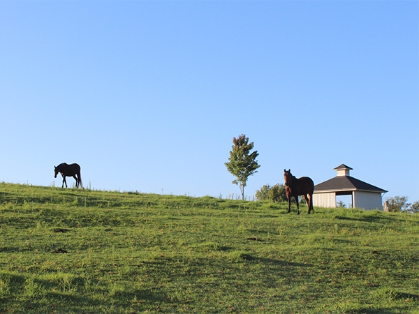 Take your pick at Bilpin (Credit Leigh-Ann Pow)