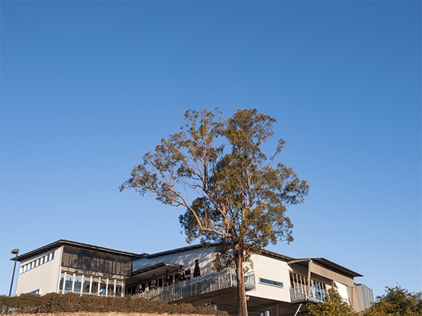 Discover coffee and culture in Murwillumbah, NSW