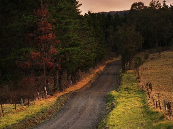 Do an empty esky tour of Shoalhaven
