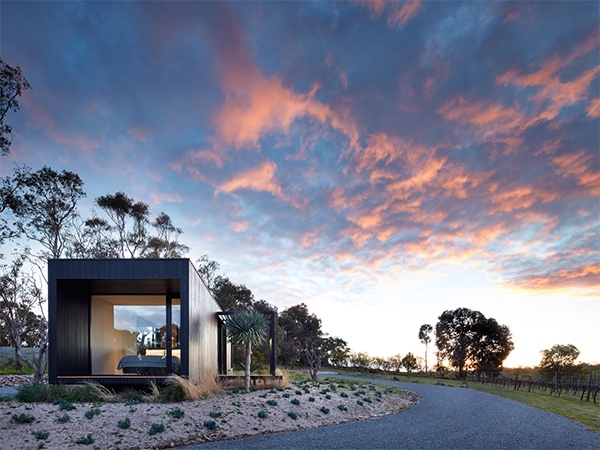 Tour the wineries and distilleries of McLaren Vale