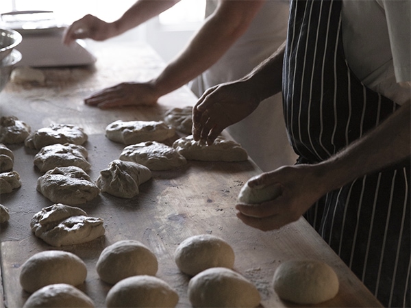 the sights and baked delights of Musk, Morpeth and more (Credit Dairy Flat Farm)