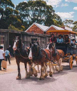 <p><i>The best family holidays</i> in <strong>Australia</strong></p>

