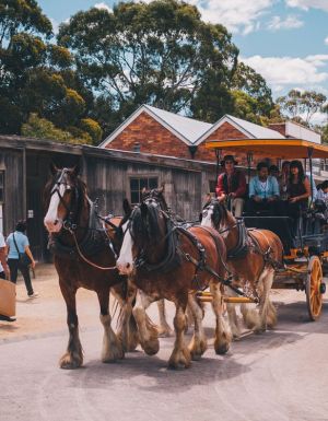 Sovereign Hill