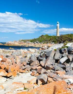 bay of fires tasmania