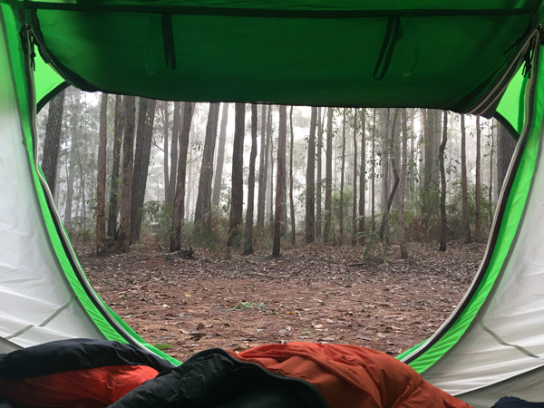 view from the tent at Baden Powell Campground at Lane Poole Reserve, Dwellingup