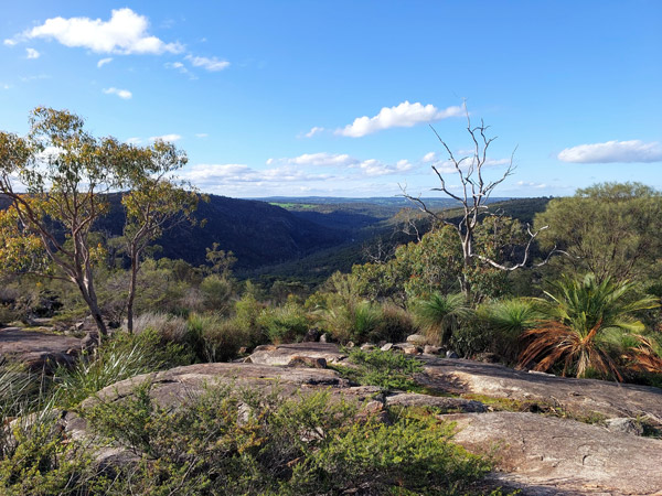 the campground at Bald Hill at Avon Valley National Park