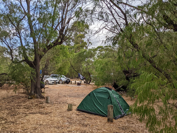 a tent setup on Belvidere Campground, Leschenault
