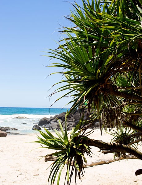 burleigh heads beach