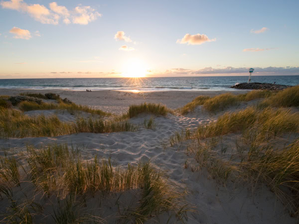 the grassy area of City Beach at sunrise
