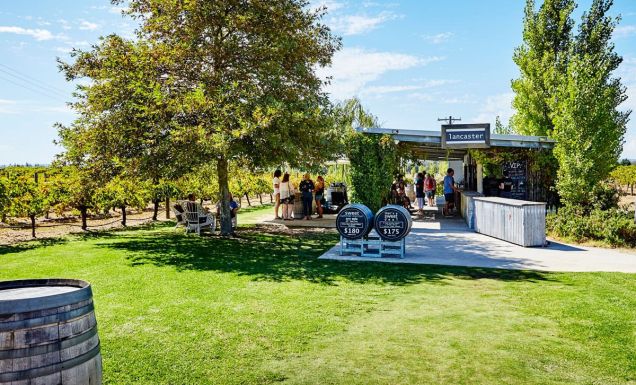Lancaster Wines in Swan Valley