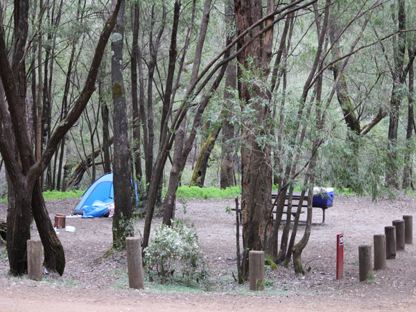 the campground at Honeymoon Pool, Wellington National Park