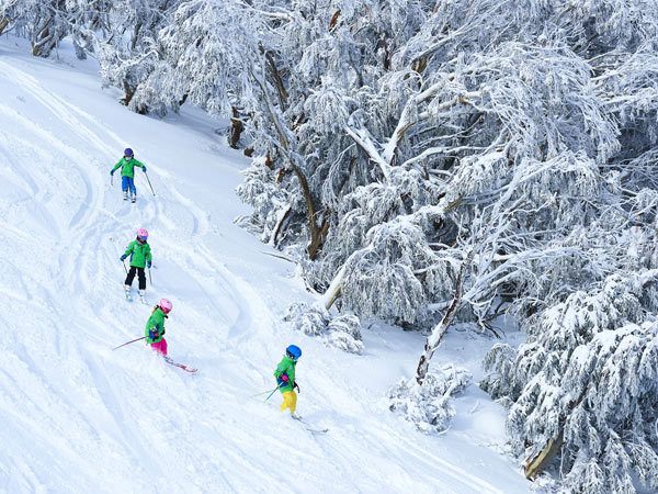 Kids skiing in Mt Buller