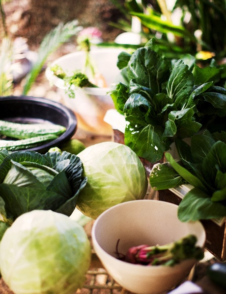 fresh produce norfolk island
