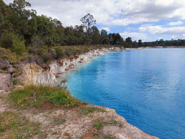 the Stockton Lake Recreation Area Campground, Collie