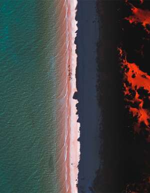 Shark Bay western Australia