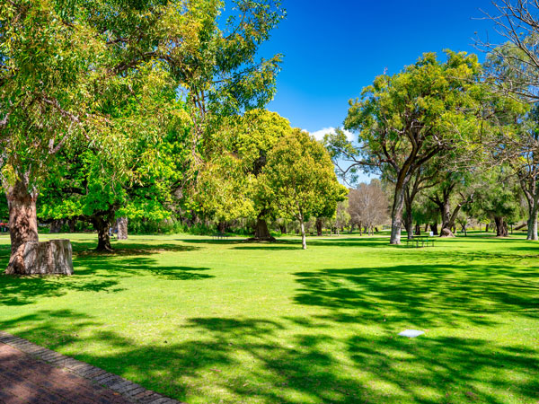 the lush grounds of Yanchep National Park