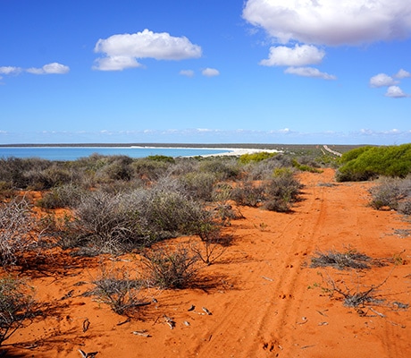 Shark Bay WA