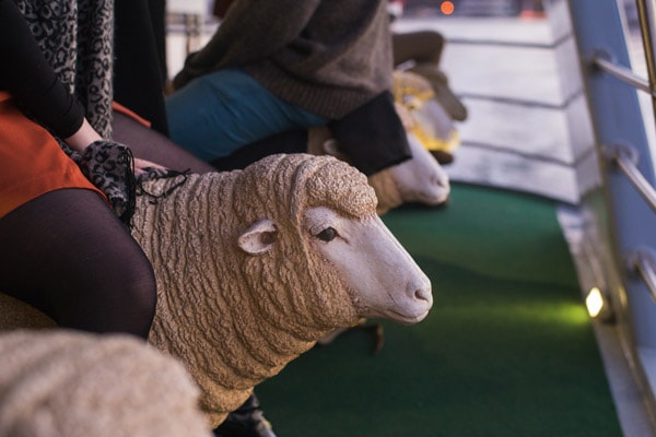 Sheep seats on the Mona Roma