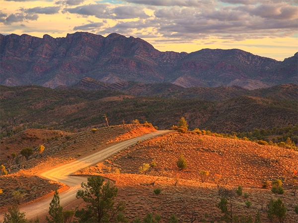 Explore the Flinders Ranges.