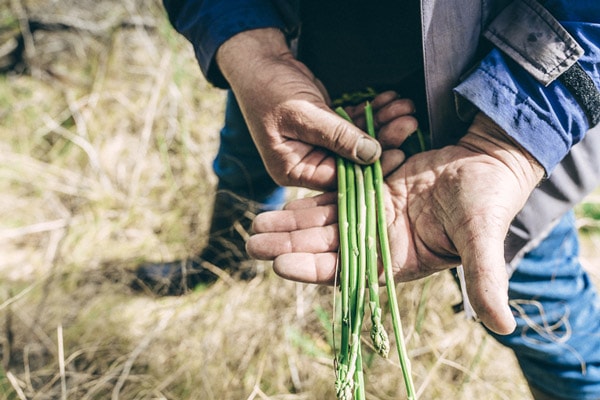 Sirocco South gallery