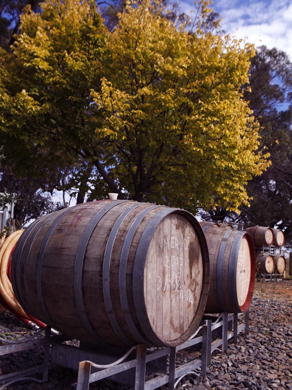 old wine barrels at Cargo Road Wines