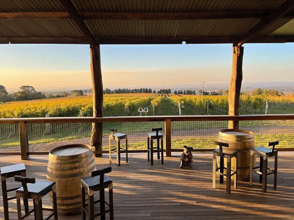 scenic views of the valley at De Salis Wines