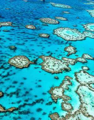 Great Barrier Reef, QLD