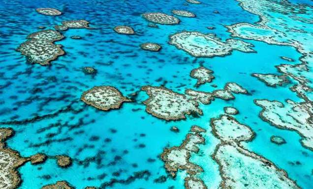 Great Barrier Reef, QLD